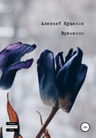 Обложка книги «Временно»