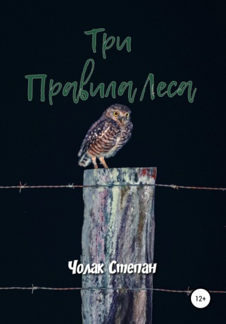 Обложка книги «Три правила леса»