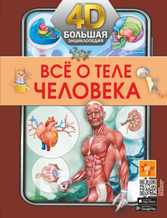 Обложка книги «Всё о теле человека»