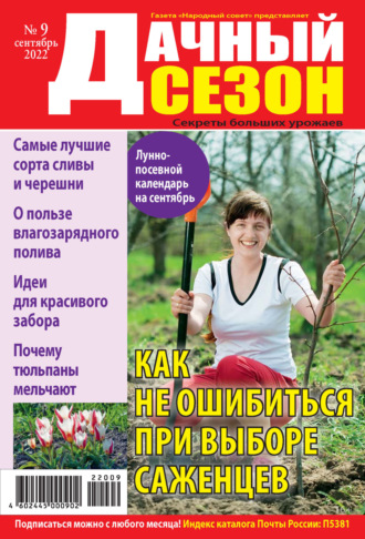 Обложка книги «Дачный сезон №09/2022»