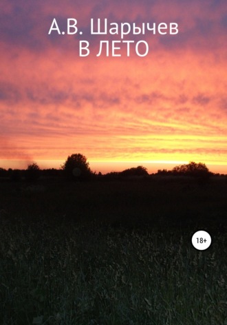 Обложка книги «В Лето»