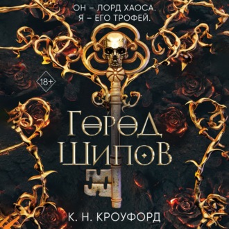 Обложка книги «Город Шипов»