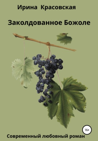 Обложка книги «Заколдованное Божоле»