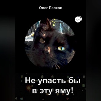 Обложка книги «Не упасть бы в эту яму!»