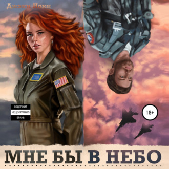 Обложка книги «Мне бы в небо»