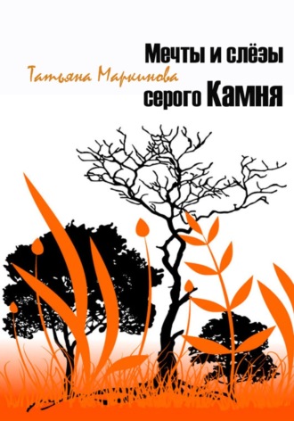 Обложка книги «Мечты и слёзы серого Камня»