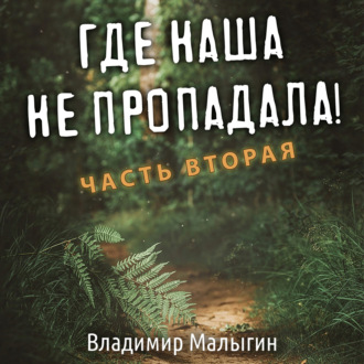Обложка книги «Где наша не пропадала. Часть вторая»