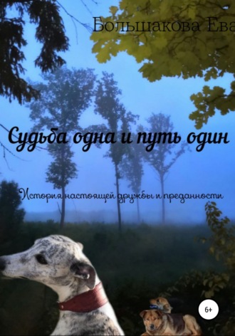Обложка книги «Судьба одна и путь один. История настоящей дружбы и преданности»