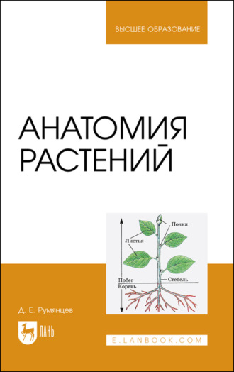 Д. Е. Румянцев. Анатомия растений