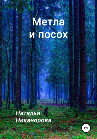 Обложка книги «Метла и посох»