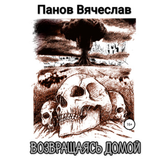 Обложка книги «Возвращаясь домой»