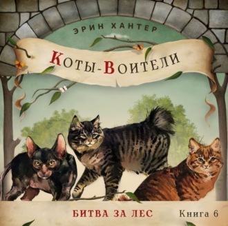 Обложка книги «Битва за лес»
