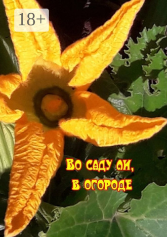 Обложка книги «Во саду ли, в огороде»