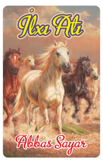 Обложка книги «İLXI ATI»