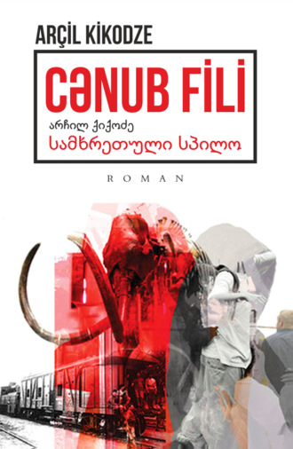 Обложка книги «CƏNUB FİLİ»