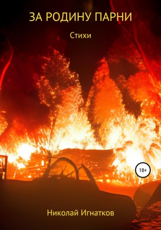 Обложка книги «За Родину парни»