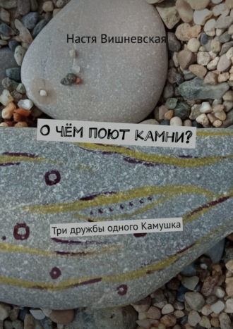 Обложка книги «О чём поют камни? Три дружбы одного Камушка»