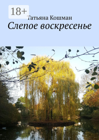 Обложка книги «Слепое воскресенье»