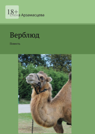 Обложка книги «Верблюд. Повесть»