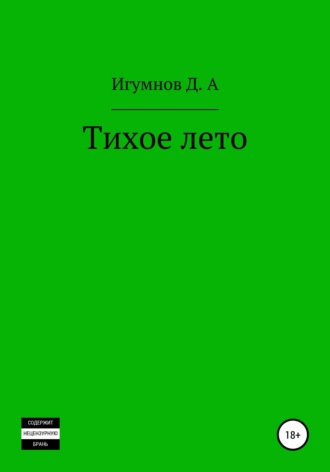 Обложка книги «Тихое лето»