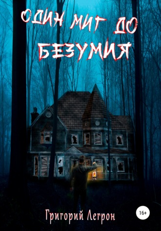 Обложка книги «Один Миг до Безумия»