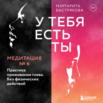 Обложка книги «У тебя есть ты. Медитация 6. Практика проживания гнева. Без физических действий»
