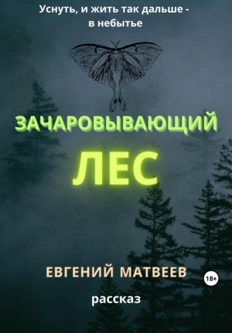 Обложка книги «Зачаровывающий лес»