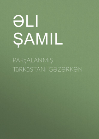 Обложка книги «Parçalanmış Türküstanı gəzərkən»