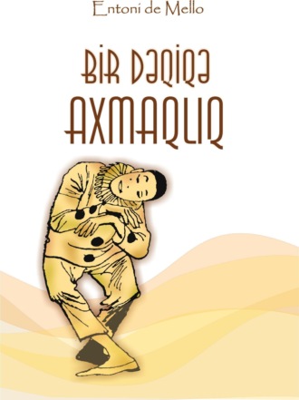 Обложка книги «Bir dəqiqə axmaqlıq»