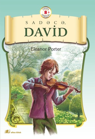 Обложка книги «Sadəcə David»