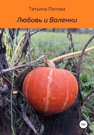 Обложка книги «Любовь и Валенки»