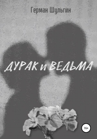 Обложка книги «Дурак и ведьма»