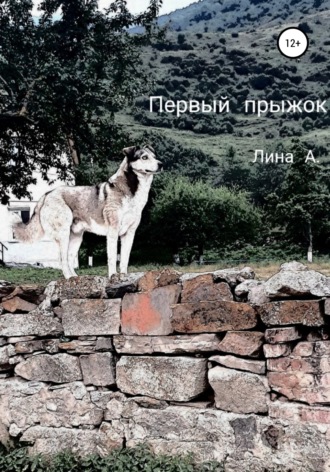 Обложка книги «Первый прыжок»