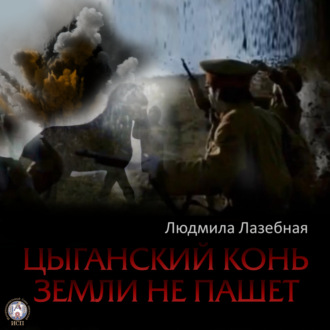 Обложка книги «Цыганский конь земли не пашет»