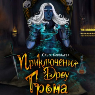 Обложка книги «Приключения дроу Грома»