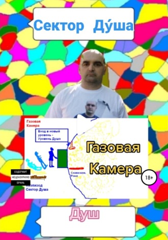 Обложка книги «Сектор Дýша»