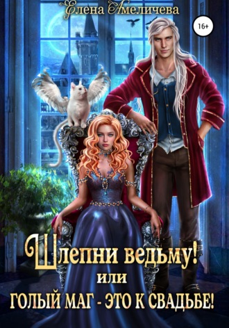 Обложка книги «Шлепни ведьму! или Голый маг – это к свадьбе!»