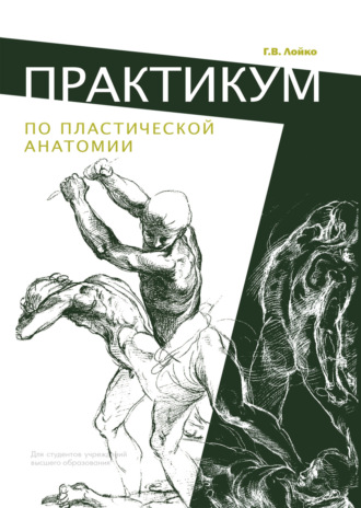 Обложка книги «Практикум по пластической анатомии»