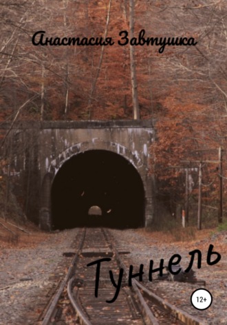 Обложка книги «Туннель»