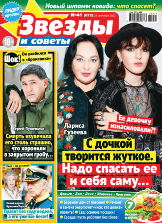 Обложка книги «Звёзды и советы №41/2022»
