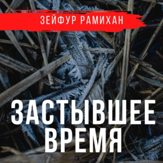Обложка книги «Застывшее время»