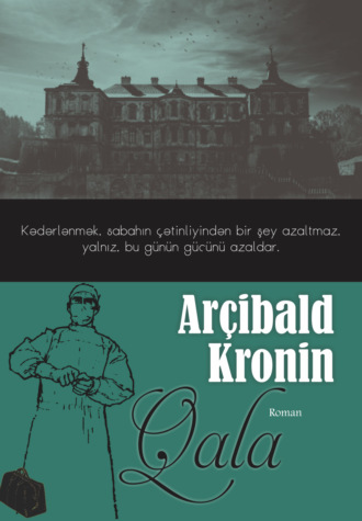 Обложка книги «Qala»