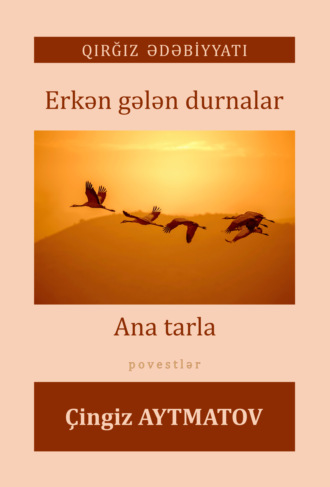 Обложка книги «Erkən gələn durnalar, Ana tarla»