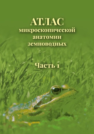 Обложка книги «Атлас микроскопической анатомии земноводных. Часть 1»