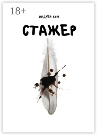Обложка книги «Стажер»