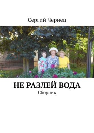 Обложка книги «Не разлей вода. Сборник»