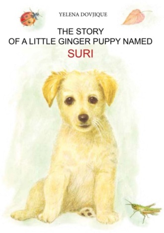 Обложка книги «The story of a little ginger puppy girl named Suri»