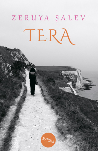 Обложка книги «Tera»