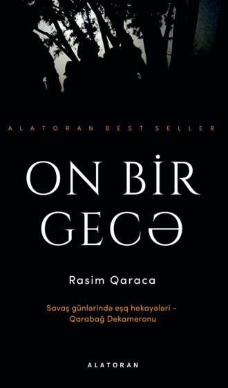 Обложка книги «On bir gecə»
