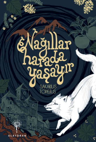 Обложка книги «Nağıllar harada yaşayır»